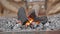Blacksmith furs pump air to ignite fire in a traditional forge coal furnace. Hot charcoal with sparks of flame ready to
