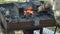 Blacksmith heated the iron rod in burning coals in forge