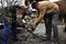 Blacksmith shoeing a horse