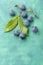 Blackthorn fruits over painted textile background