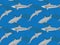 Blacktip Shark Background Seamless Wallpaper