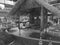 Blackwhite image - Malay indigenous village house replica at Flora exposition above pool surrounded by flowers and tourists, front