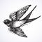 Blackwork tattoo flash. Beautifully detailed flying swallow bird. Vintage retro style design. Isolated vector illustration.