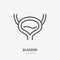 Bladder flat line icon. Vector thin pictogram of human internal organ, outline illustration for urology clinic