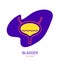 Bladder urinary system body organ outline icon