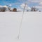 Blade of grass poking out of a vast snowy landscape with trees, blue skies, and puffy white clouds in the background -cold and sun