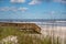 Blades of tall dune grass obstructing view of Ocean Jacksonville Beach FL