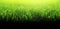 Blades of vibrant green grass close up on a sunlit lawn. Generative AI illustration with copy space