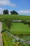 Blair Athol, Scotland: Sheep grazing under a bright blue sky