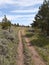 Blair Wallis Hooch trail Cheyenne, Wyoming