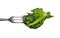 Blanching spinach leaf on fork,isolated