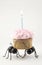 Blank Ants Carrying Birthday Cupcake