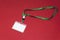 Blank badge mockup isolated on red background. Plain empty name tag mock up hanging on neck with string. Name Tag, Corporate