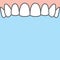 Blank banner Upper healthy teeth illustration vector on blue background. Dental concept