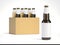 Blank beer bottles and brown package. 3d rendering