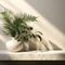 Blank beige concrete texture curve counter podium green fern tree in white ceramic vase in sunlight leaf shadow on wall for luxury