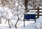 Blank blue sign in the snow