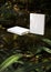 Blank book model on ancient ruins, notebook mockup, mockup on nature background 01