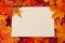 Blank card with fall leaves for your