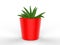 Blank Ceramic Plant Pot Mock up. 3d render illustration.