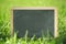 Blank chalkboard