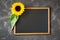 Blank chalkboard on dark stone with sunflower. Autumn background for fall season