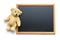 Blank chalkboard and teddy bear