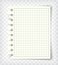 Blank checkered note book page with torn edge