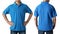Blank collared shirt mock up template, front and back view, Asian teenage male model wearing plain blue t-shirt isolated on white