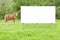 Blank commercial advertising billboard immersed in a rural scene with brown horse - image with copy space