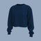 Blank cropped sweater mockup, 3d rendering, 3d illustration