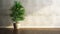 Blank dark green polished cement wall, tropical dracaena tree in white pot on brown walnut parquet floor in sunlight for luxury