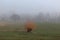 A blank field engulfed by thick fog.