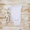 Blank gender neutral white baby bodysuit