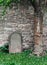 Blank gravestone under a tree