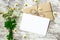 Blank greeting card and envelope with white chamomile flowers