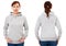 Blank grey sweatshirt mock up set isolated, front and back view. Woman wear grey hoodie mockup. Plain hoody design presentation.