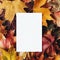 blank label - autumn - on top view maple leaves background with Generative AI