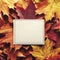 blank label - autumn - on top view maple leaves background with Generative AI