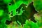 Blank map of Europe on a green abstract background with the effect of pixel movement, decay. Ecology and environment threat