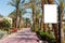 Blank mock billboard on park. alley of palms on clear sky background