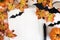 Blank notepad on orange background with paper bats silhouettes, pumpkins and autumn maple leaves, traditional Halloween decor.