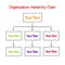 Blank Organization Hierarchy Chart mind map, business concept for presentations and reports