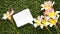Blank paper bubble chat for text, with flowers.