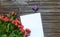 Blank paper with gift box and rose bundle