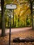 Blank path sign near narrow path in an autumn park.