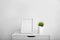 Blank photo frame and houseplant on chest of drawers near white wall