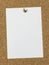 Blank Pinboard