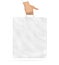 Blank plastic bag mock up holding in hand. Empty polyethylene pa