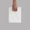 Blank plastic bag mock up holding in hand. Empty polyethylene pa